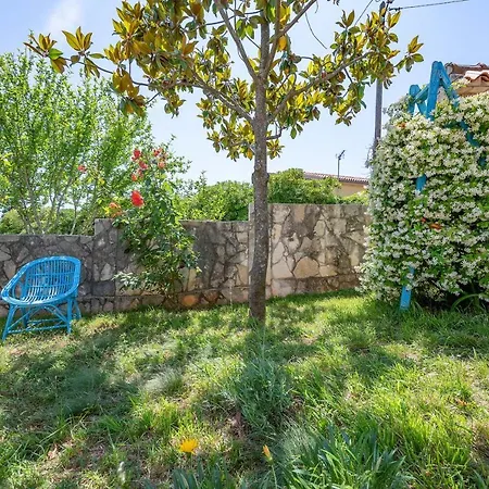 Pimpinella 3*