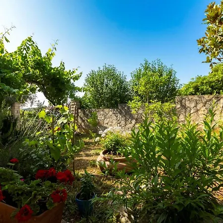 Pimpinella Gasthof 3*
